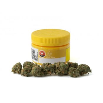 SUNDIAL | BLUE NOVA - SATIVA 3.5g